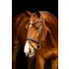 LeMieux Arika Dressage Bridle in Brown and Silver
